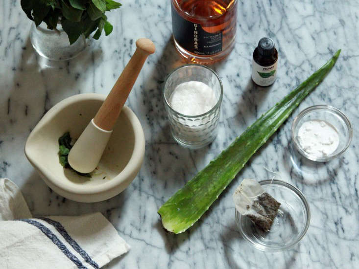 DIY: The 7 Best Natural Mosquito Bite Remedies - Gardenista